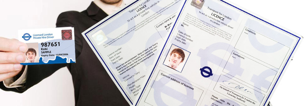 our expert Trainer image